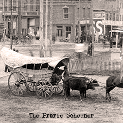 The Prarie Schooner Wagon